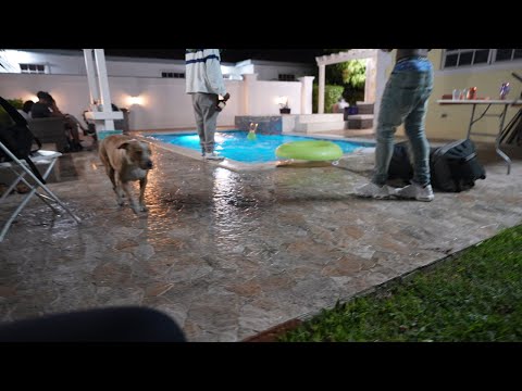 Murray Dizzle - ⌛Right Na Official Music Video