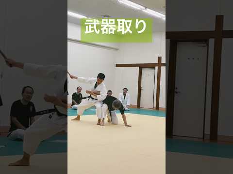 合気道練精会 #aikido #aikidotechniques #合気道 #塩田剛三 #養神館 #護身術