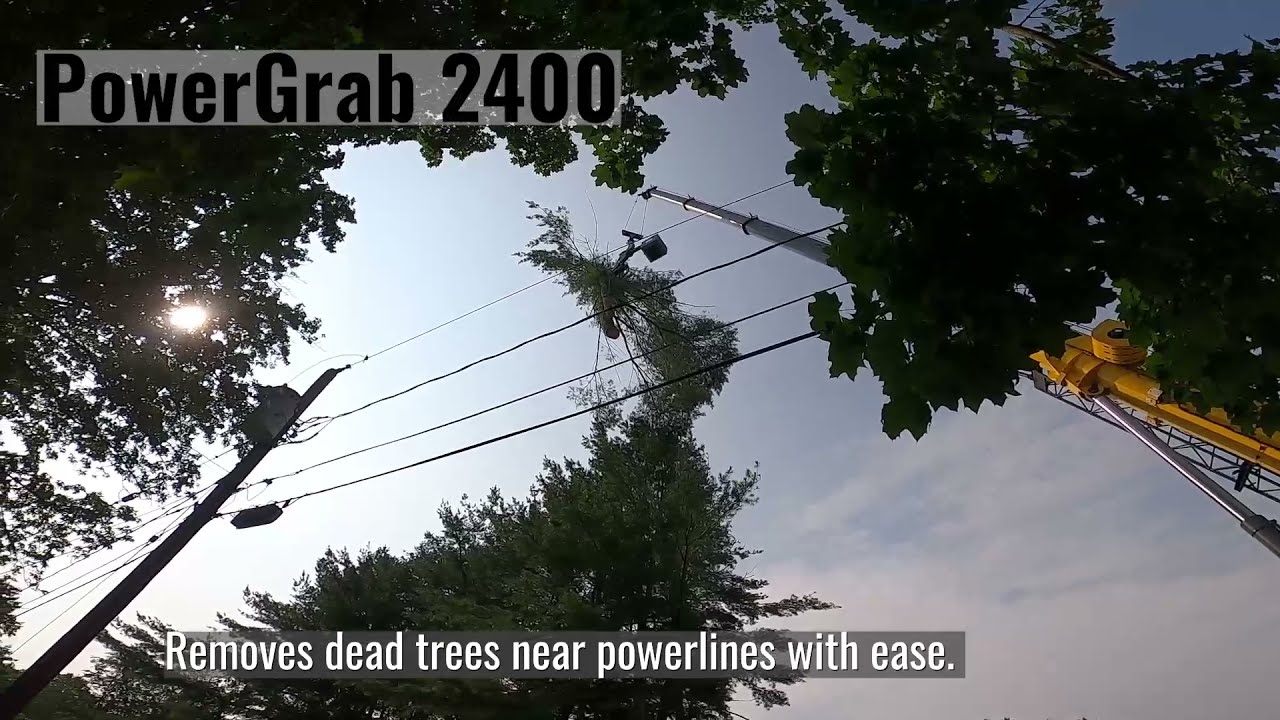 PowerGrab 2400 Safely Removing Dead Trees in Southern NH
