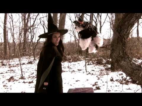 Katy Perry - Dark Horse Music Video Official Cover - Gina Naomi Baez and Tinkerbelle the Dog