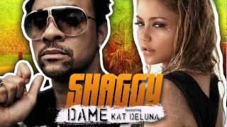Shaggy - Dame feat Kat Deluna (Official Audio) HD