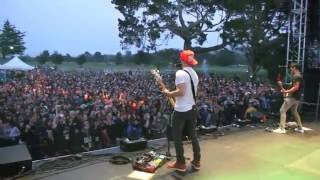 Pepper at Cali Roots (Vacation)