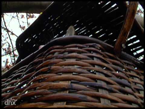 Zoboomafoo 110 - Grimper