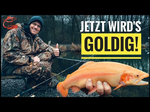 EINFACH ANGELN am FORELLENSEE: So fängst DU beim GRUNDANGELN | Grewald unterwegs