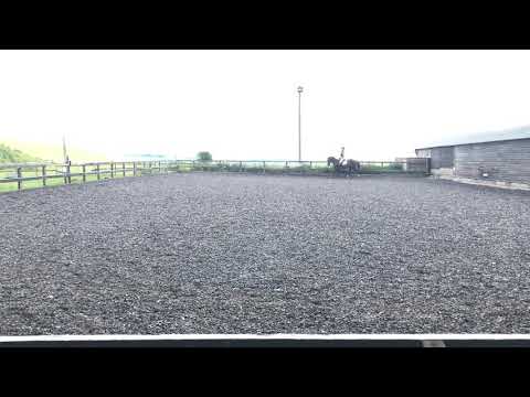 BE90 dressage test 95