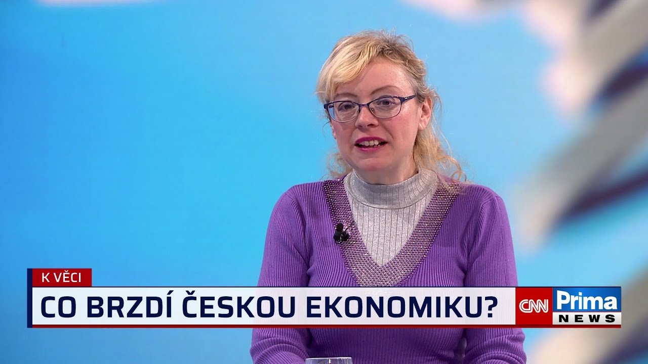 Švihlíková: Česko je prolezlé kartelovými dohodami. Hrozí pokračování pádu životní úrovně