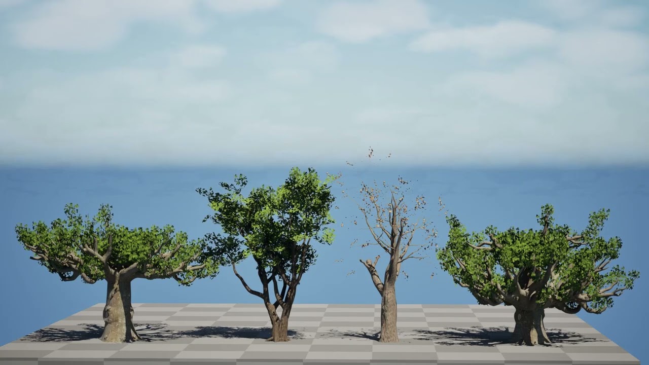 Южноафриканские деревья Sterculia Africana 3D Модель