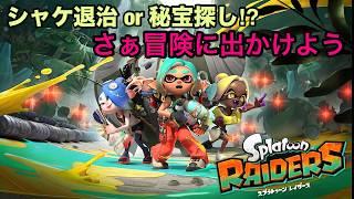 【スプラトゥーンレイダース】　武器厳選＆お金＆素材稼ぎをする枠