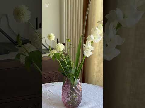 Снять 2-комнатную квартиру, г. Минск, ул. Мстиславца, 8