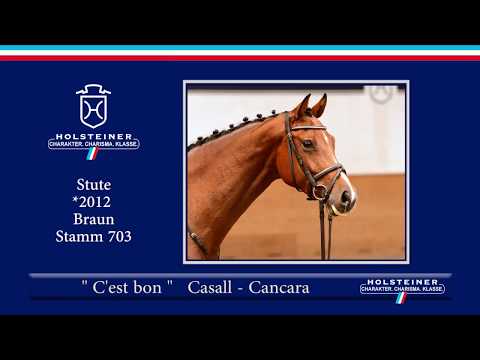 102 | C'est Bon v. Casall - Cancara
