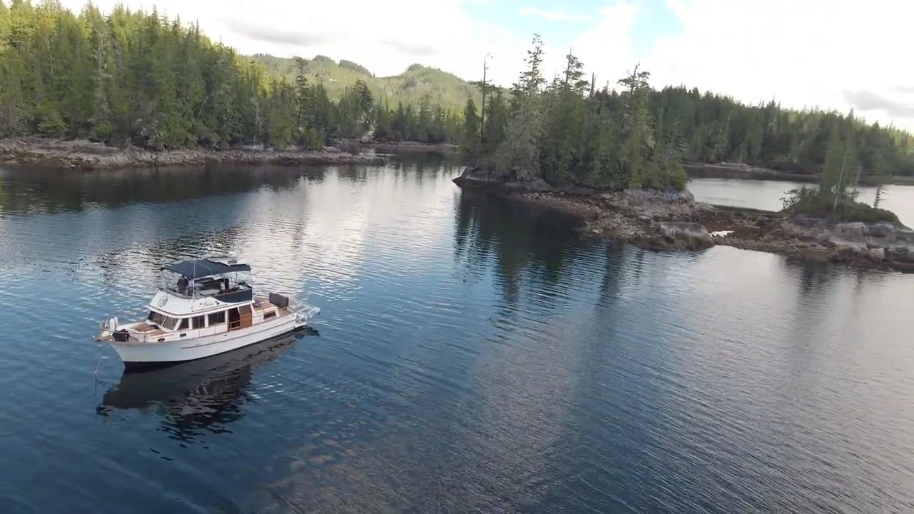 Muirhead Islands 30 06 2024 file020 clip01