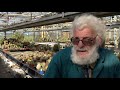 Hans heeft 100.000 cactussen: ‘Dit is een superleuke coronahobby’ [RTV Utrecht]