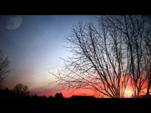 Mike Mikhjian - More to it