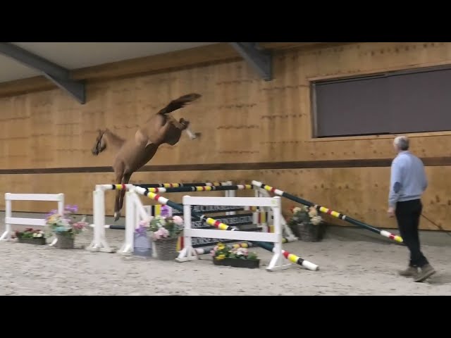 Jumping