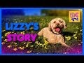 Lizzy's Story | Kids Video of Cute Puppy and Funny Dog Playing
