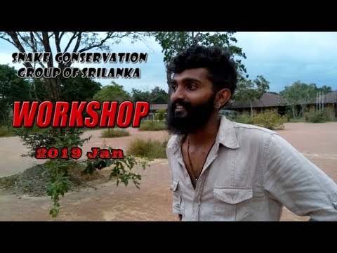 Snake handling Workshop 1 | Snake Conservation Group of Sri Lanka | Vlog 01