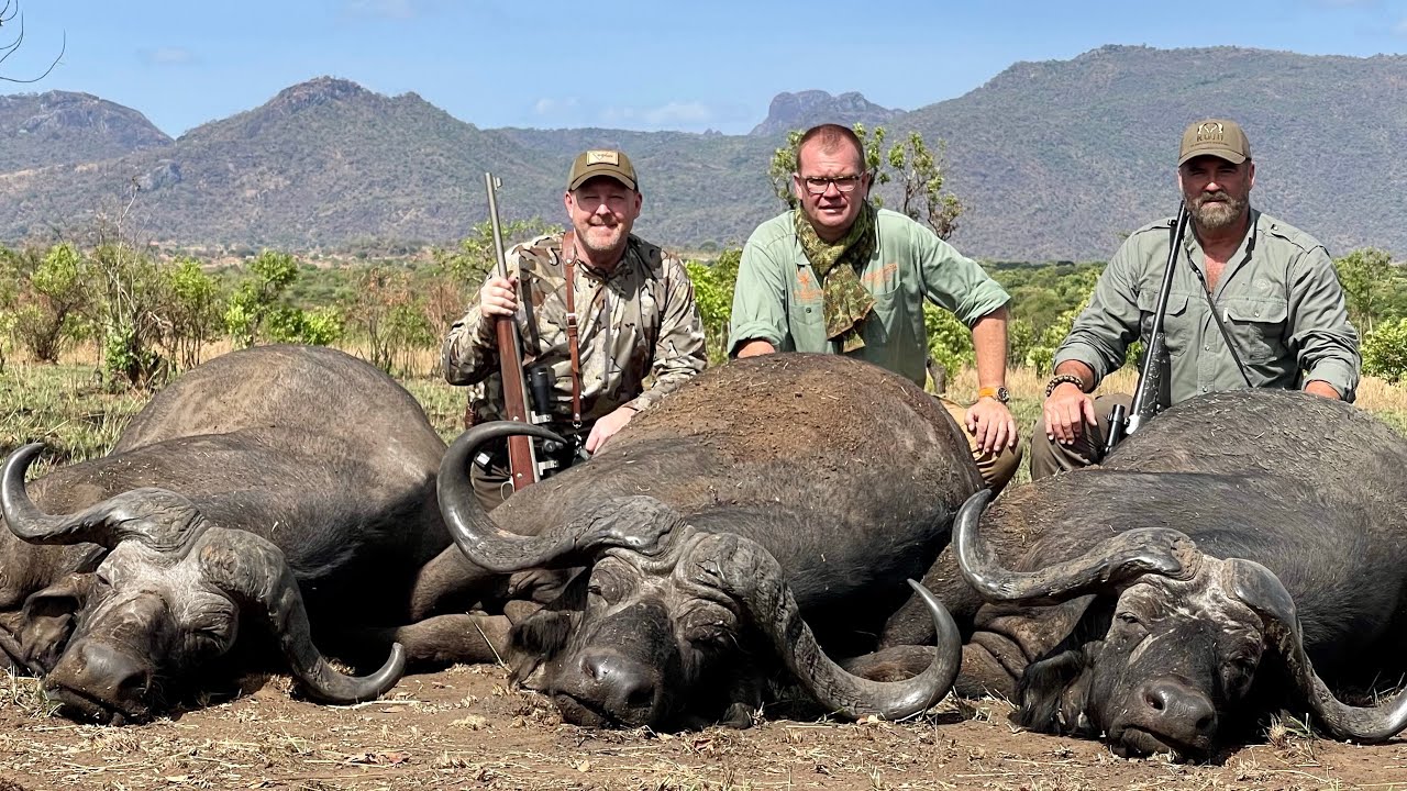 Uganda Buffalo & Plainsgame Hunt 2021 Tim Herald/Jay Cohea Worldwide Trophy Adventures