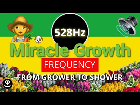 👩‍🌾 528 Hz - The Miracle Growth Frequency of Plants