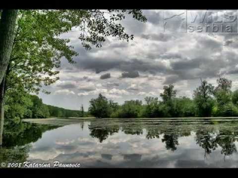 TAMBURASI - Divan ja Kiceni Srem