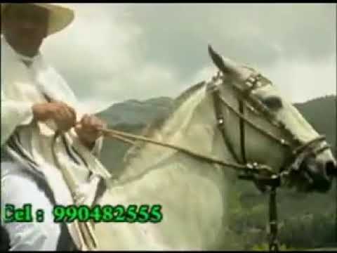 El cilulo y el gavilan   Don Guillermo y su conjunto