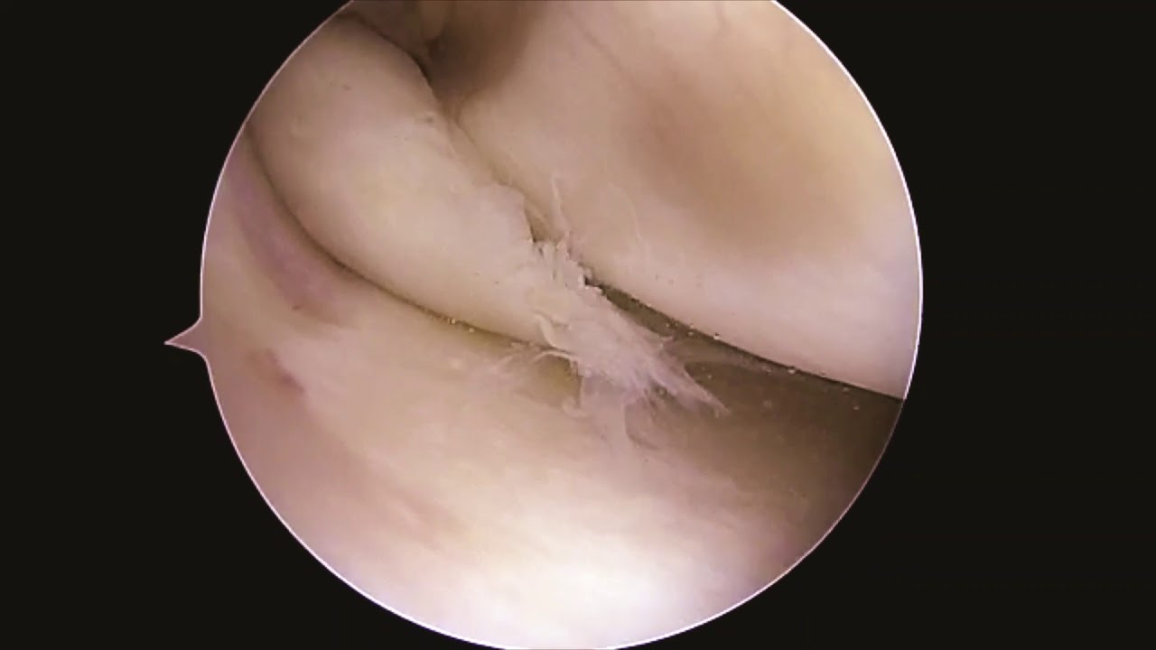 Julio Carlos Vélez De Lachica-52