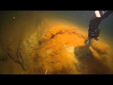 Kick'em Jenny Volcano with Dr. Steve Carey | Nautilus Live