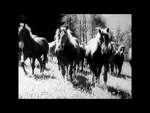 Menschen und Land am Wilden Kaiser