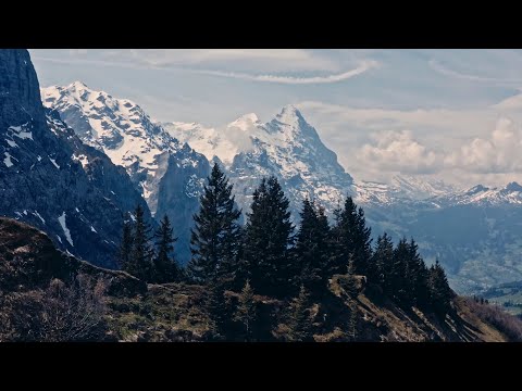 Gealdýr - Middangaerd (Middle-Earth) Official Music Video