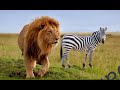 SALAWA UJUMBE WA MAISHA YA TUNGU MBASHA STUDIO 2025