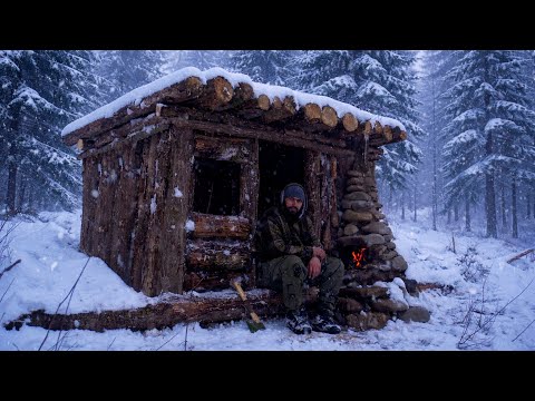 Top 3 Winter Survival Bushcraft Shelters You Can Build in the Wild