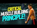 Critical muscle building principle !