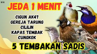 Download lagu 🔴 GACOR SADIS MASTERAN MURAI BATU GACOR ‼️ JEDA 1 MENIT mp3