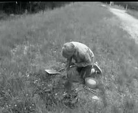 Lassie Come home..maybe