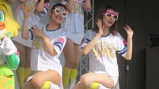 チアリーダー「ハニーズ」