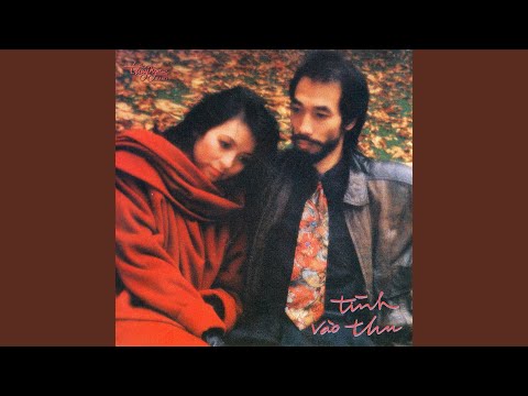 Tình ca mùa hạ - Kim Anh