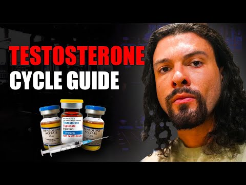 Testosterone Cycle Guide For Beginners 2025