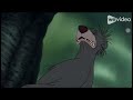 Tiger Fight JimmyandFriends Crossover