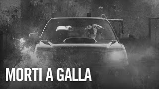 Morti a galla Music Video