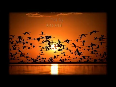 Chiều quê Sheet - Diệu Hiền