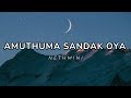Amuthuma Sandak Oya (අමුතුම සඳක් ඔයා) - Nethmini [Lyrics]