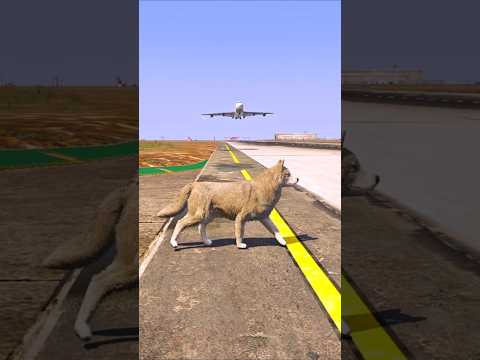 A Dog Spontaneously Arrived When an Airplane Was Landing | Grand Theft Auto V ||