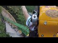 Cheetah Hunt At Busch Gardens 4K Tampa Bay 2019