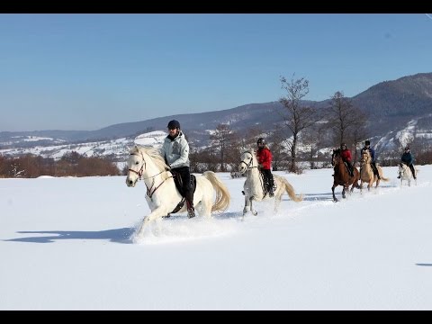 Winterritte in Transsilvanien mit PFERD & REITER