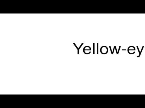 How to pronounce Yellow-eyed