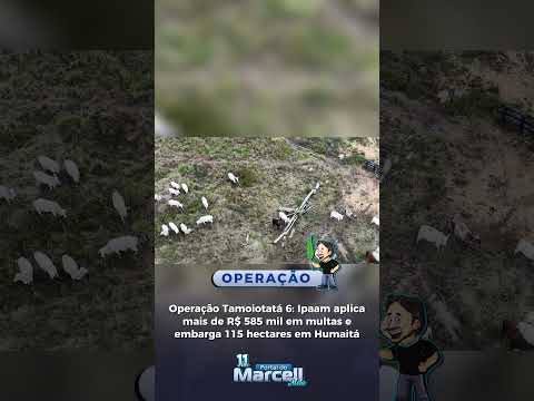 🚨🌿 Operação: Ipaam aplica mais de R$ 585 mil em multas e embarga 115 hectares em Humaitá ⚖️🌳
