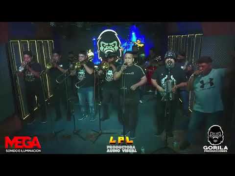 Coroico en Vivo streaming