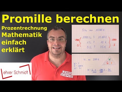 Calculating per mille - Percentage calculation - Mathematics explained simply | Lehrerschmidt