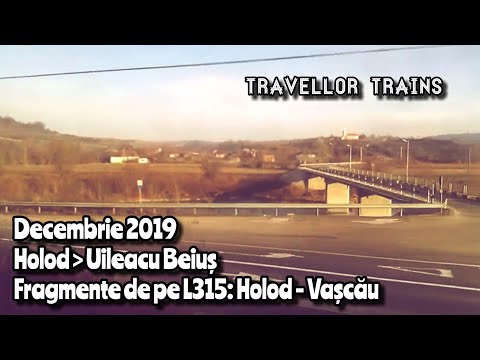 Fragmente de pe linia 315: Holod - Vașcău | Între Holod și Uileacu Beiuș (Decembrie 2019)