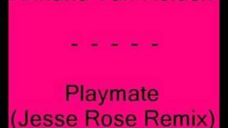 Armand Van Helden - Playmate (Jesse Rose Remix)