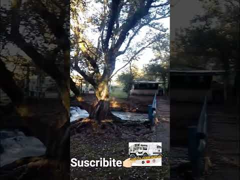 San José, Misiones #overlanding #misiones #rodanteros #naturaleza  #camping